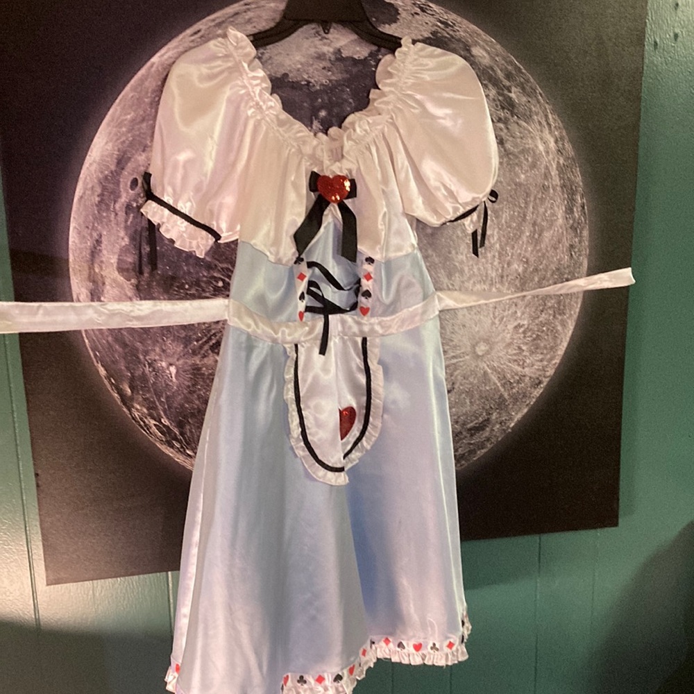 Alice in wonderland costume size L adult with flaw-front ribbon needs to be sewn